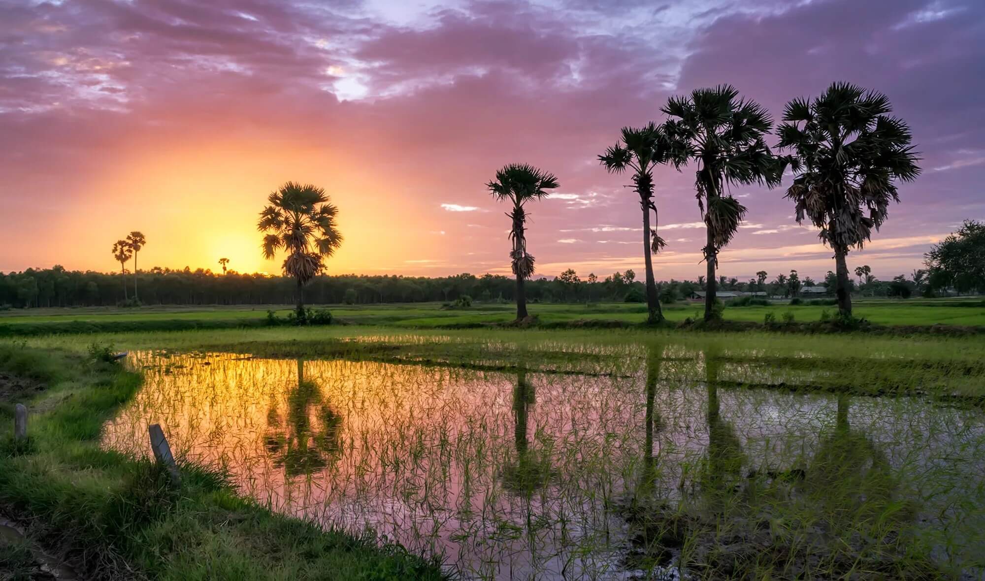 Reise nach Kambodscha - Die beste Vorbereitung auf das Land