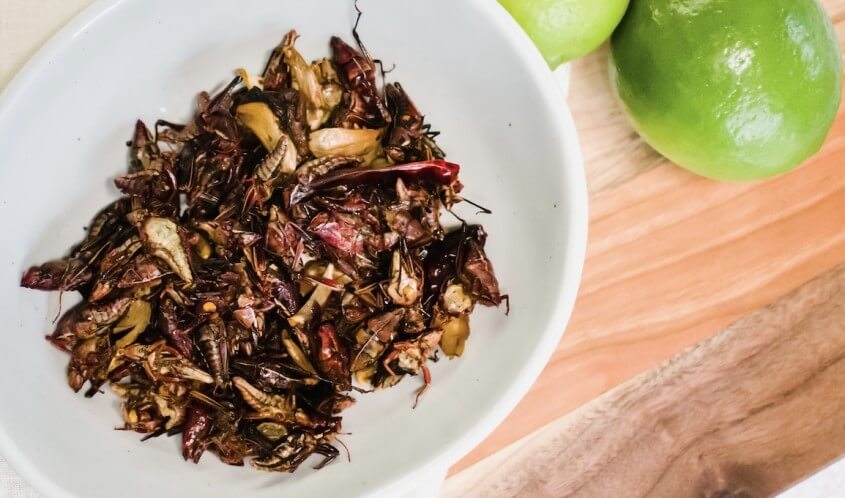 Aktivitäten in Mexiko - Heuschrecken essen