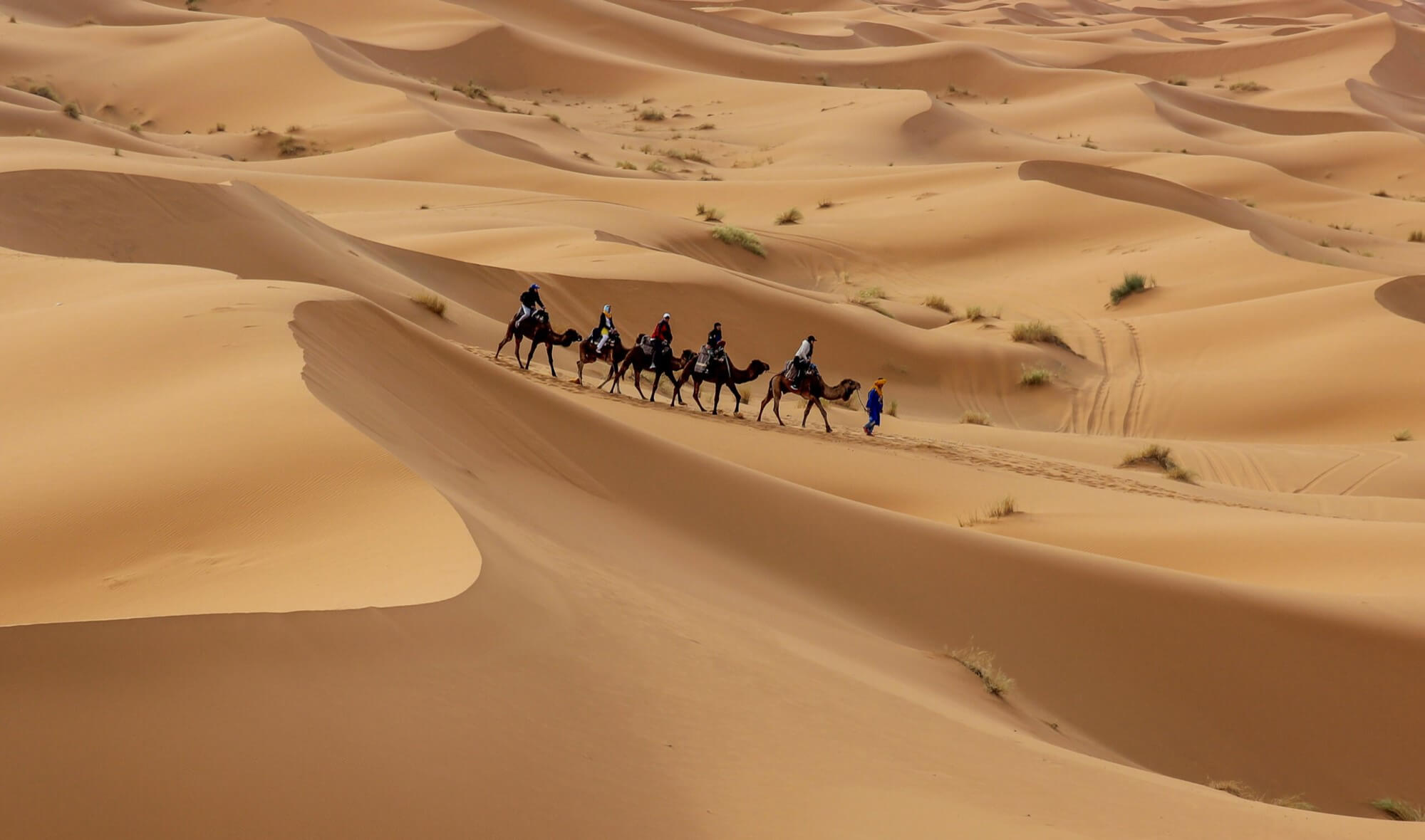 Die 20 schönsten Sehenswürdigkeiten in Marokko