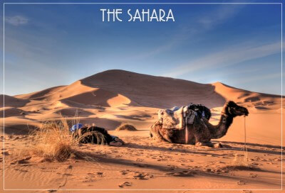 Tom´s Postkarte aus Merzouga
