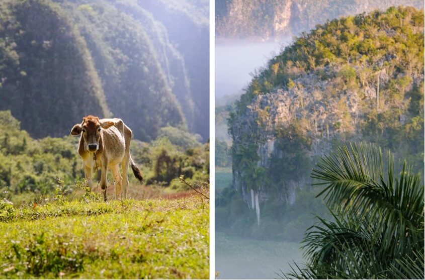 Beste Reisezeit für das Vinales Tal