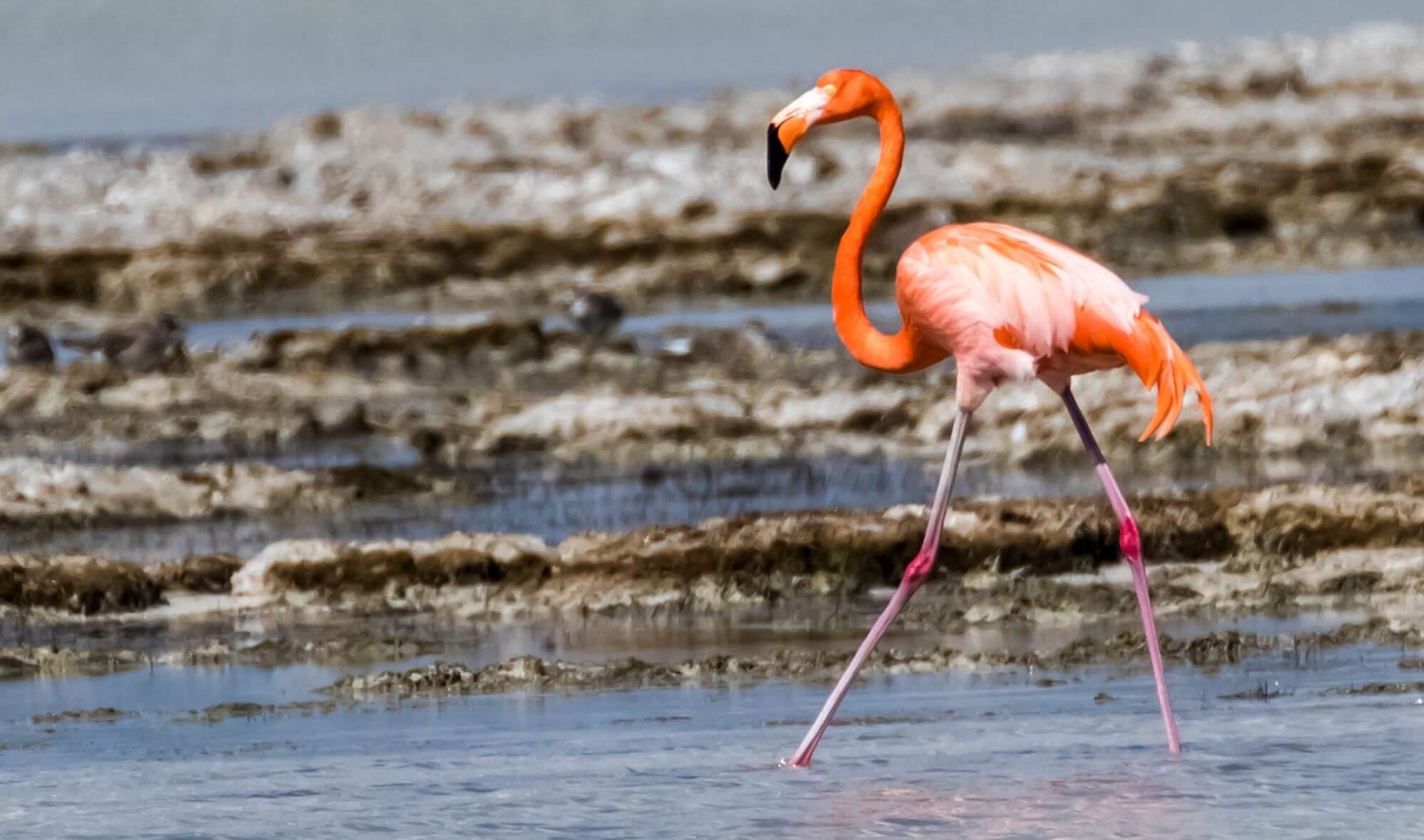 Tipps für den Nationalpark Cienaga de Zapata Ausflugsziele im Nationalpark Cienaga de Zapata