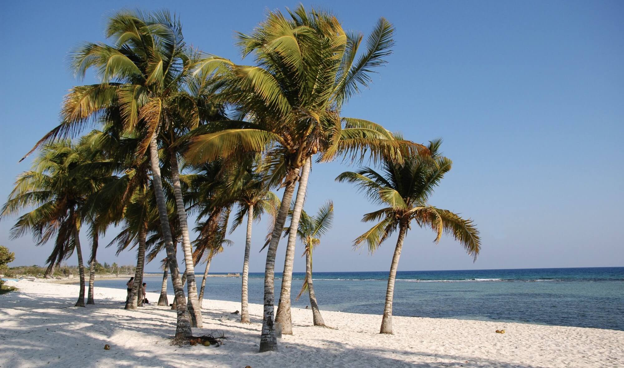 Reiseführer zur Playa Larga auf Kuba